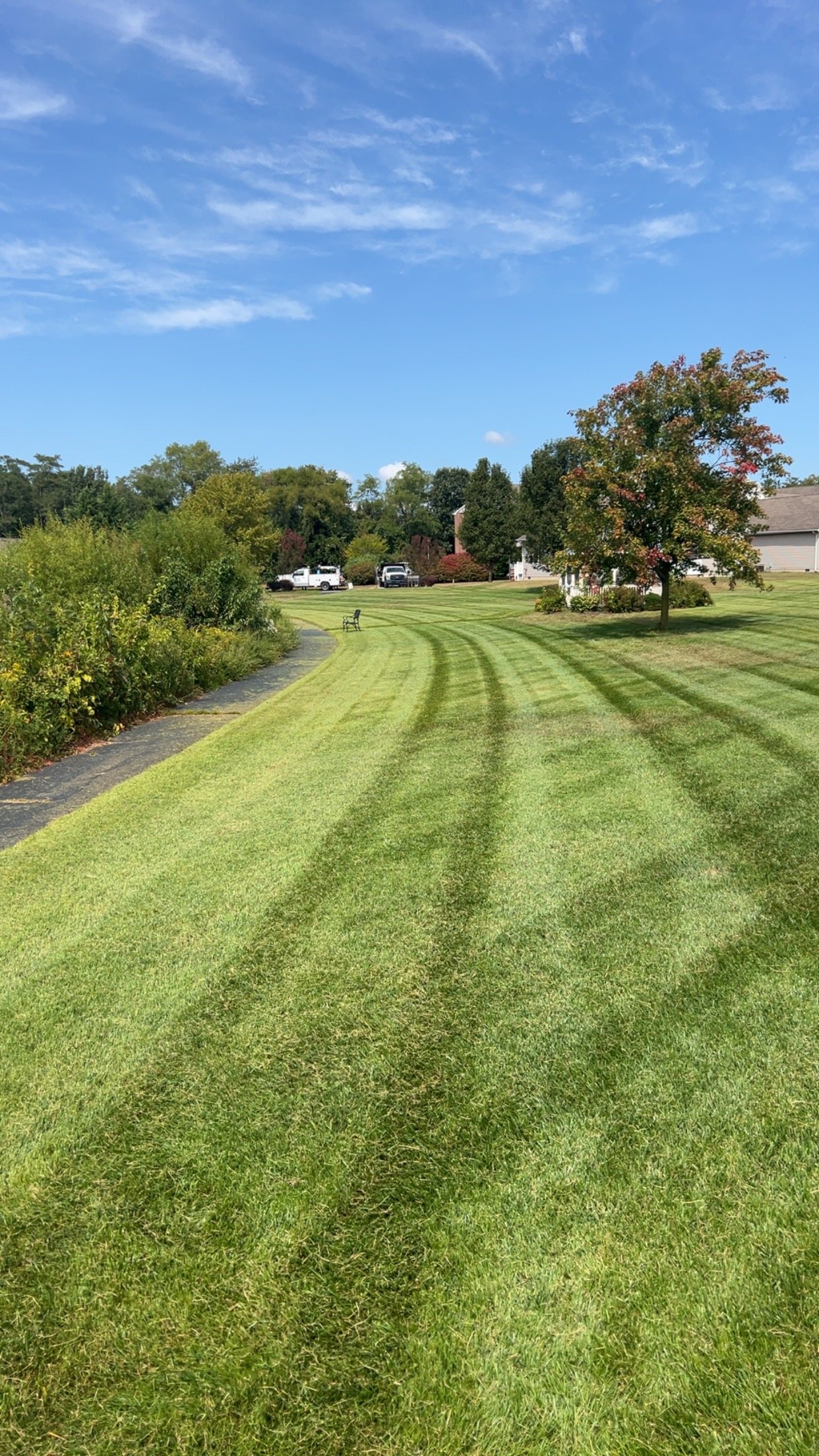 Fresh curved mowing stripes on a large Delaware lawn