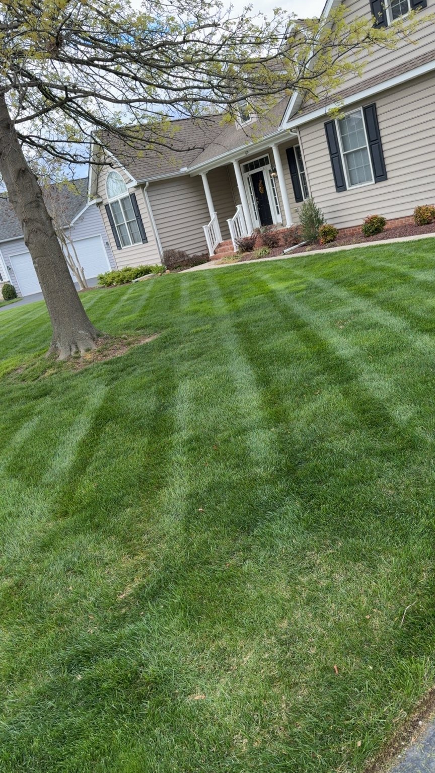 Freshly maintained residential front lawn