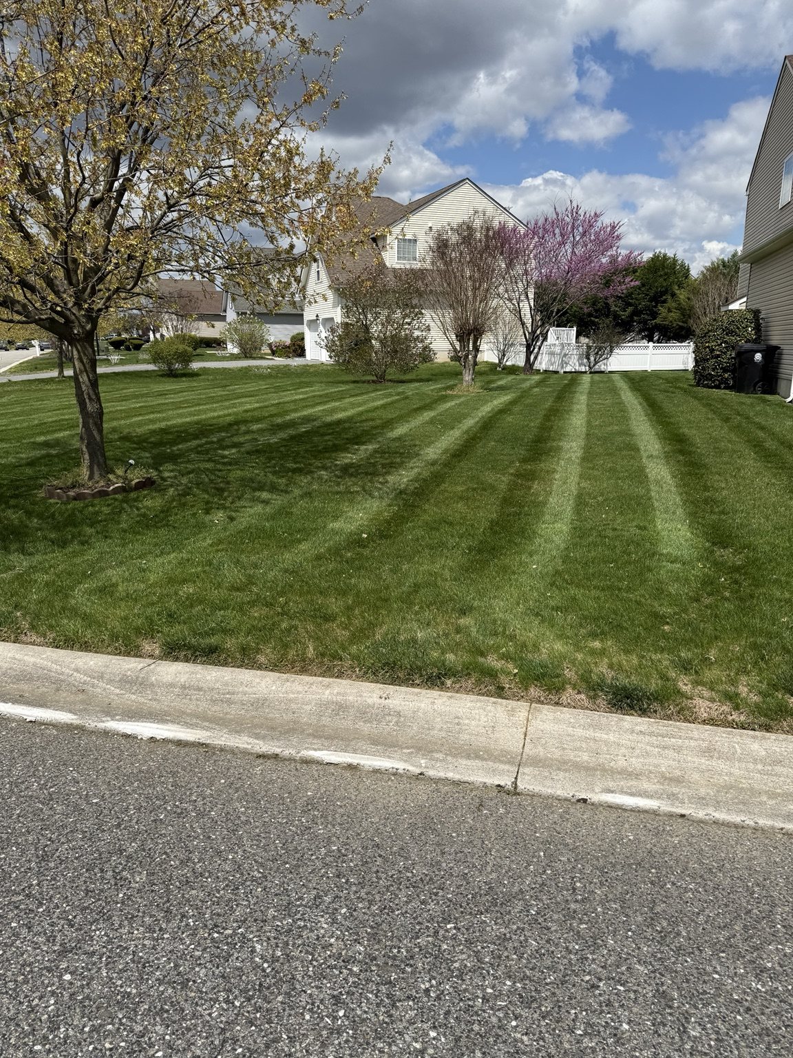 Striped lawn maintained by Brian's Lawncare